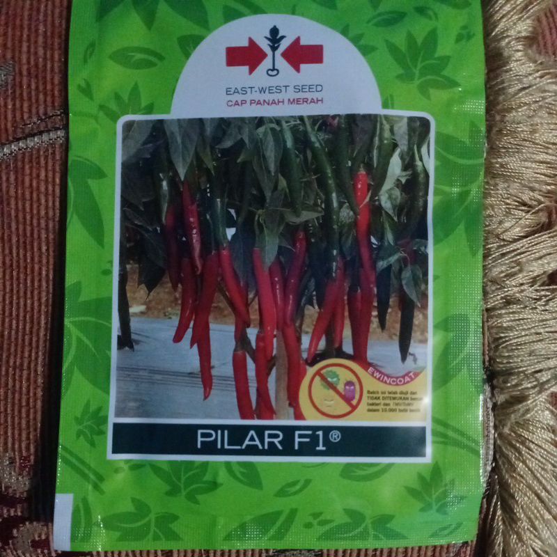 Jual Benih Cabe Pilar F Shopee Indonesia