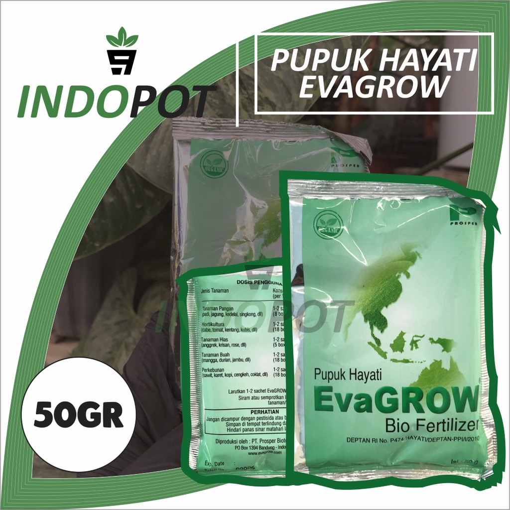 Jual EvaGROW Bio Organic Fertilizer Pupuk Hayati Pupuk Organik