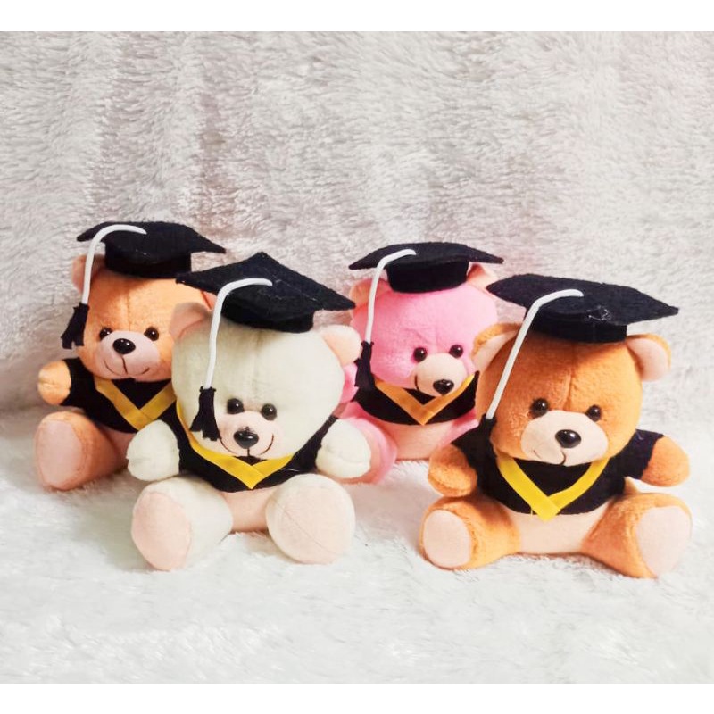 Jual Boneka Bear Wisuda 13 CM Baju Wisuda Shopee Indonesia