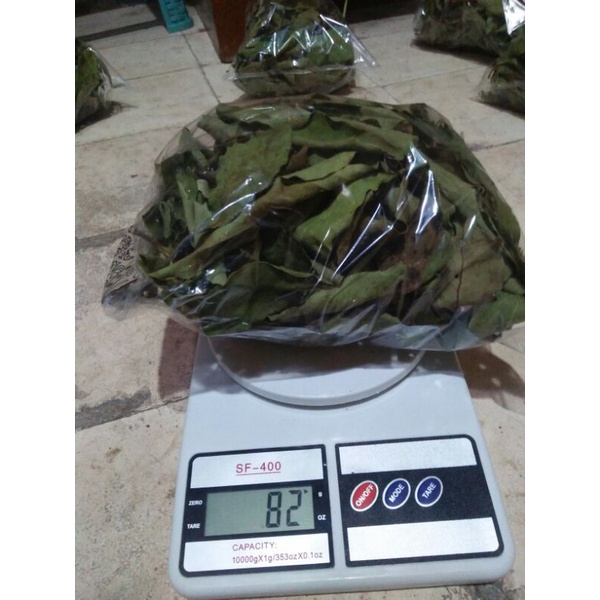 Jual Daun BENALU MANGGA 100 Berat 75 Gram Kering Shopee Indonesia