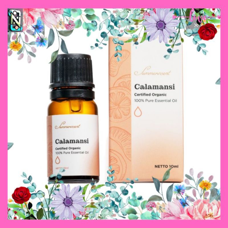 Jual Minyak Esensial Atsiri Varian Calamansi Essential Oil Ml By