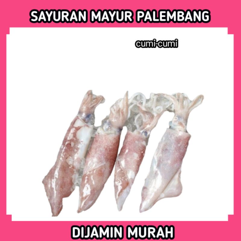 Jual Cumi Cumi Gram Palembang Shopee Indonesia