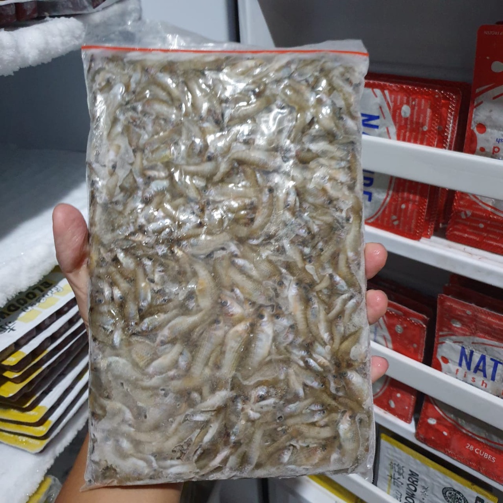 Jual Ikan Cere Laut Gram Ikan Cere Beku Makanan Ikan Predator