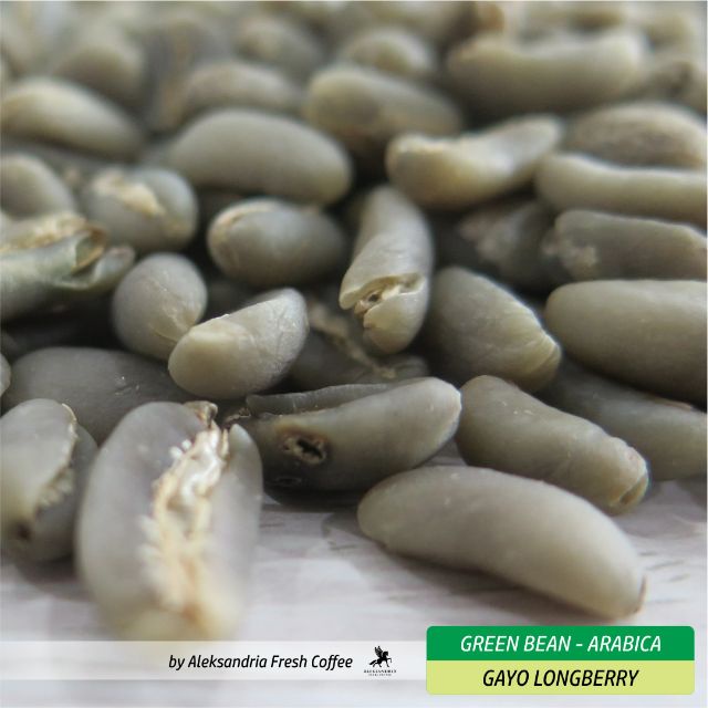 Jual Green Bean Arabica Gayo Longberry G Shopee Indonesia