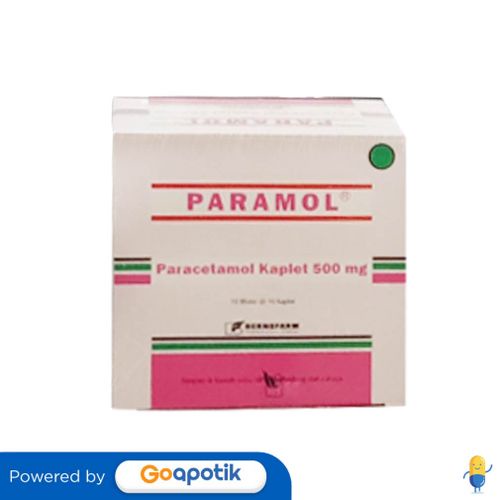 Jual Paramol 500 Mg Box 100 Kaplet Shopee Indonesia