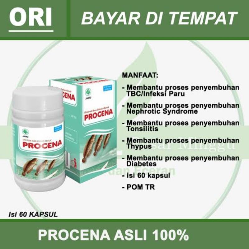 Jual Procena Ekstrak Ikan Gabus Atau Ikan Kutuk 60kapsul Shopee Indonesia