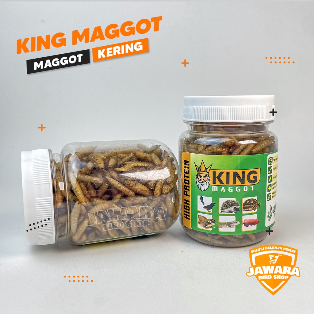 Jual MAGGOT BSF Super Maggot Kering Pakan Tinggi Protein Untuk Burung