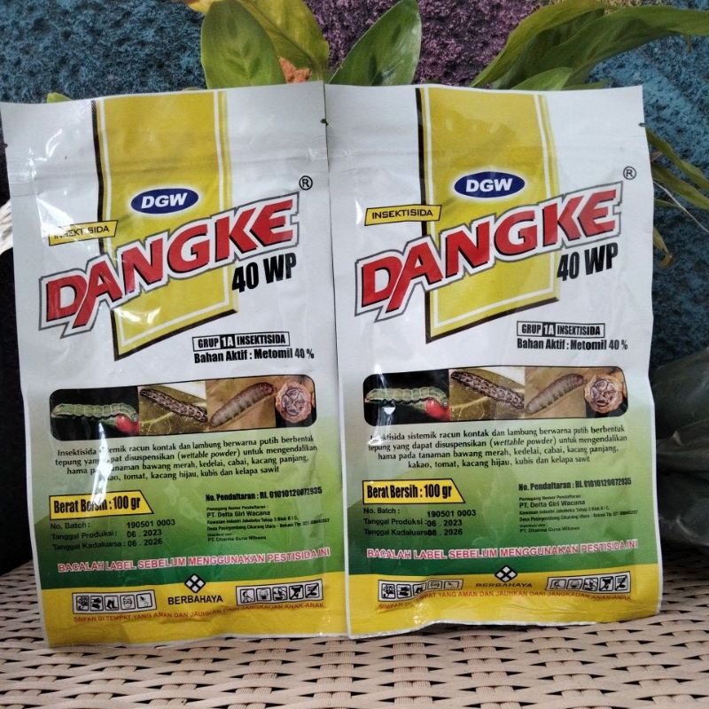 Jual Insektisida DANGKE 40WP 100gr Shopee Indonesia