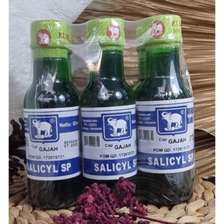 Jual Salicyl Spirtus Cap Gajah Ml Salicyl Spiritus Usfi Cap Gajah