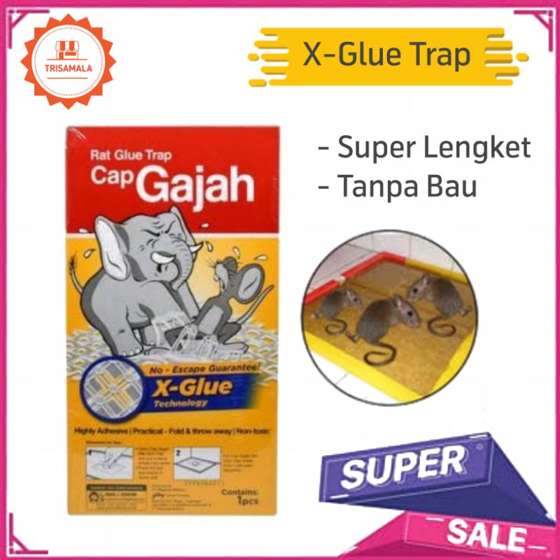 Jual LEM PERANGKAP TIKUS CAP GAJAH 60GR LEM TRAP LEM JEBAKAN Shopee