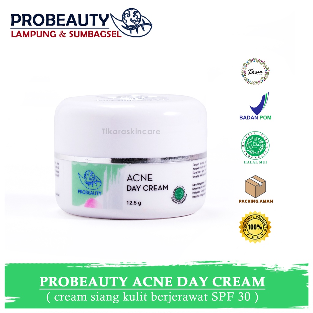 Jual Probeauty Acne Day Cream Cream Siang Kulit Berjerawat Cream