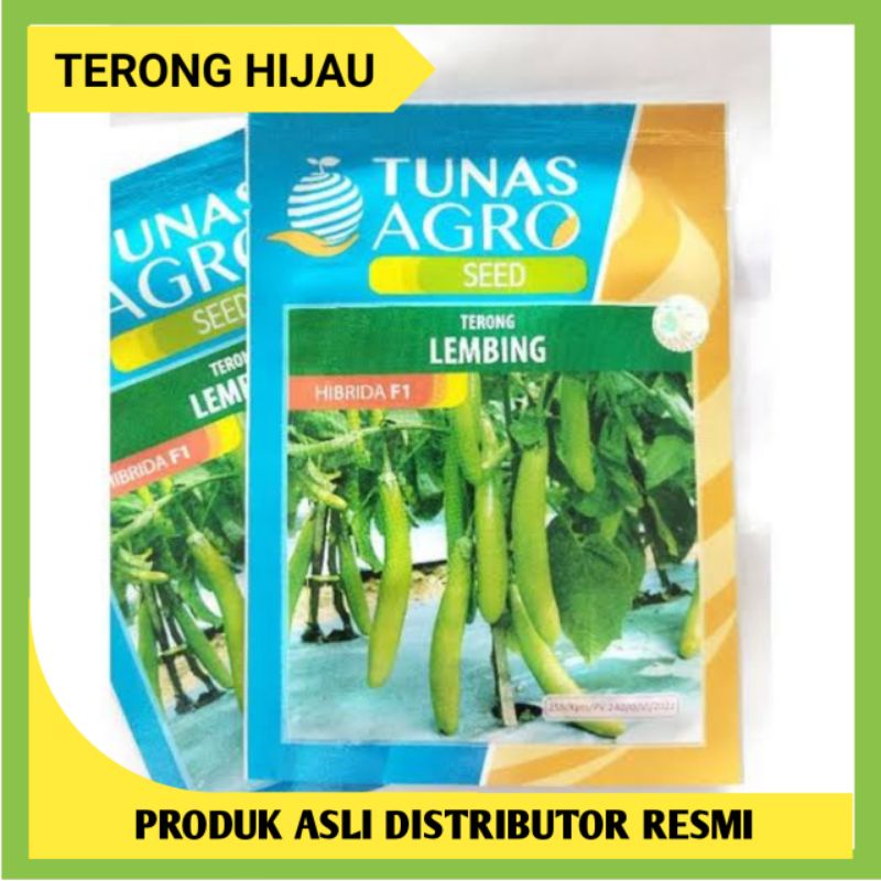 Jual Benih Terong Hijau Lembing Gr Terong Hijau Tunas Agro Shopee