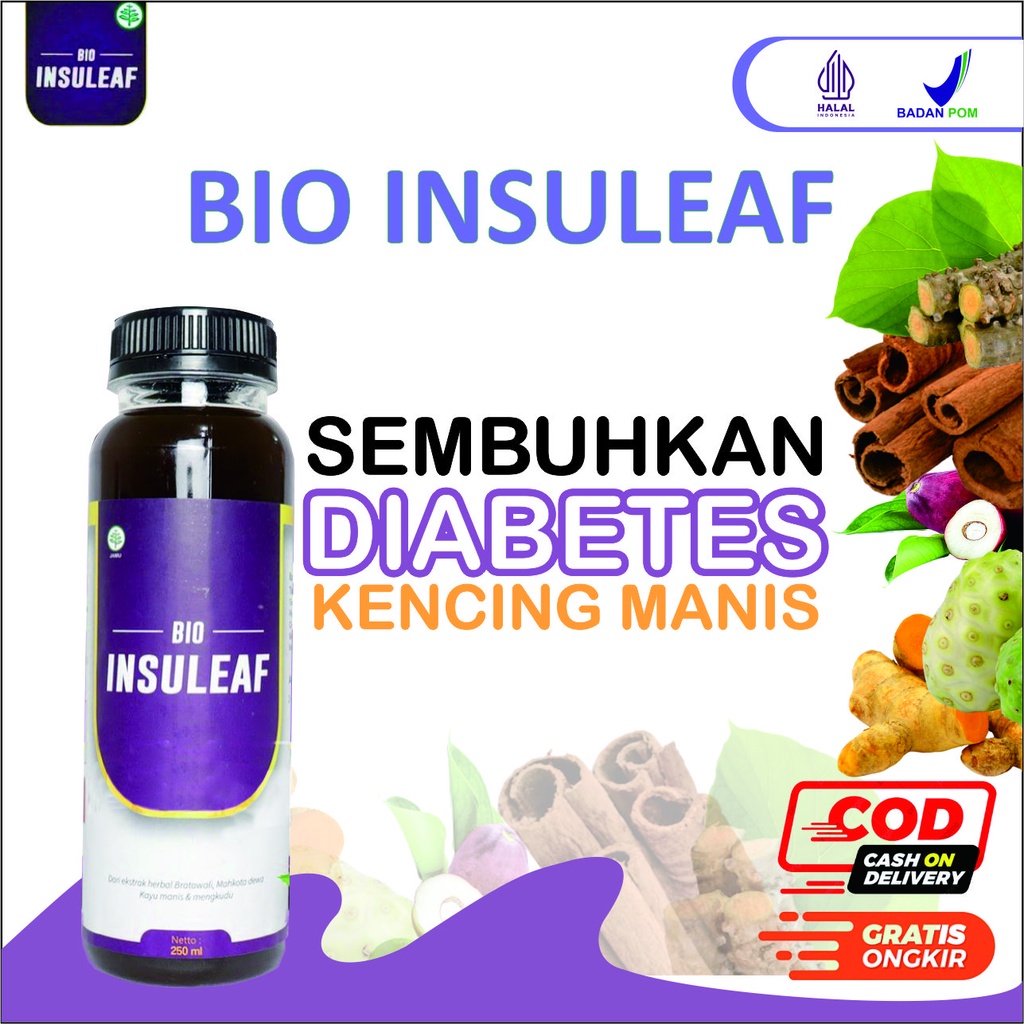 Jual BIO INSULEAF Atasi Diabetes Herbal Dengan Formulasi Alami Mengkudu