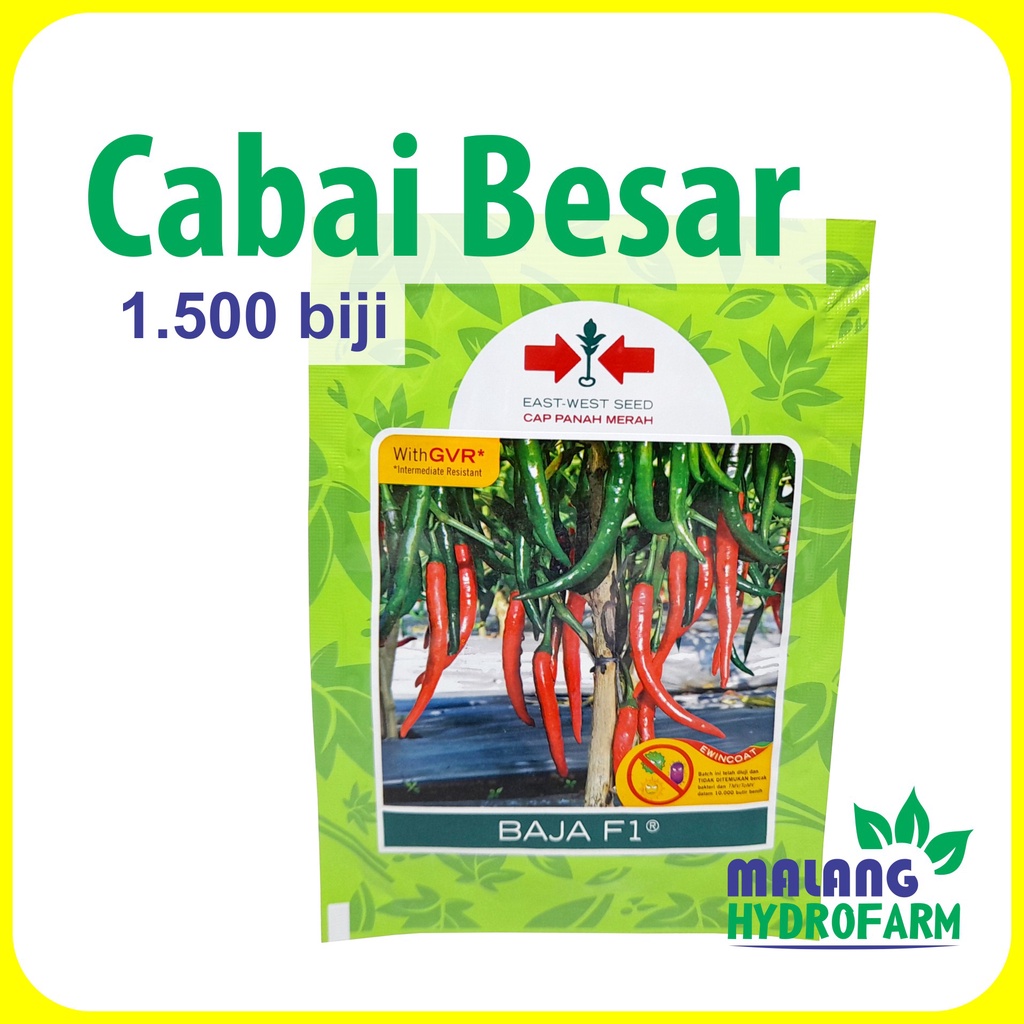 Jual Benih Cabai Merah Besar Baja F1 1500 Butir Cap Panah Teropong