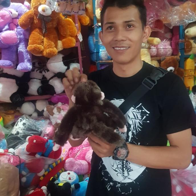 Jual Produk Baru Fto Asli Boneka Hewan Monyet Monkey Kera Simpanse