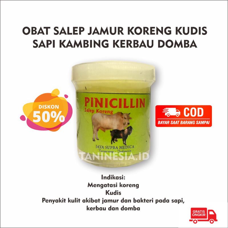 Jual Salep Koreng Pinicilin Buat Hewan Ternak Sapi Kambing Kuda Kerbau