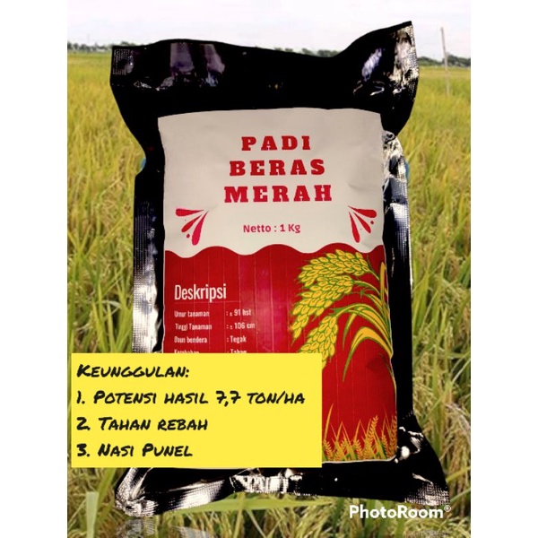 Jual Benih Padi Beras Merah Pulen Kemasan 1 Kg Shopee Indonesia