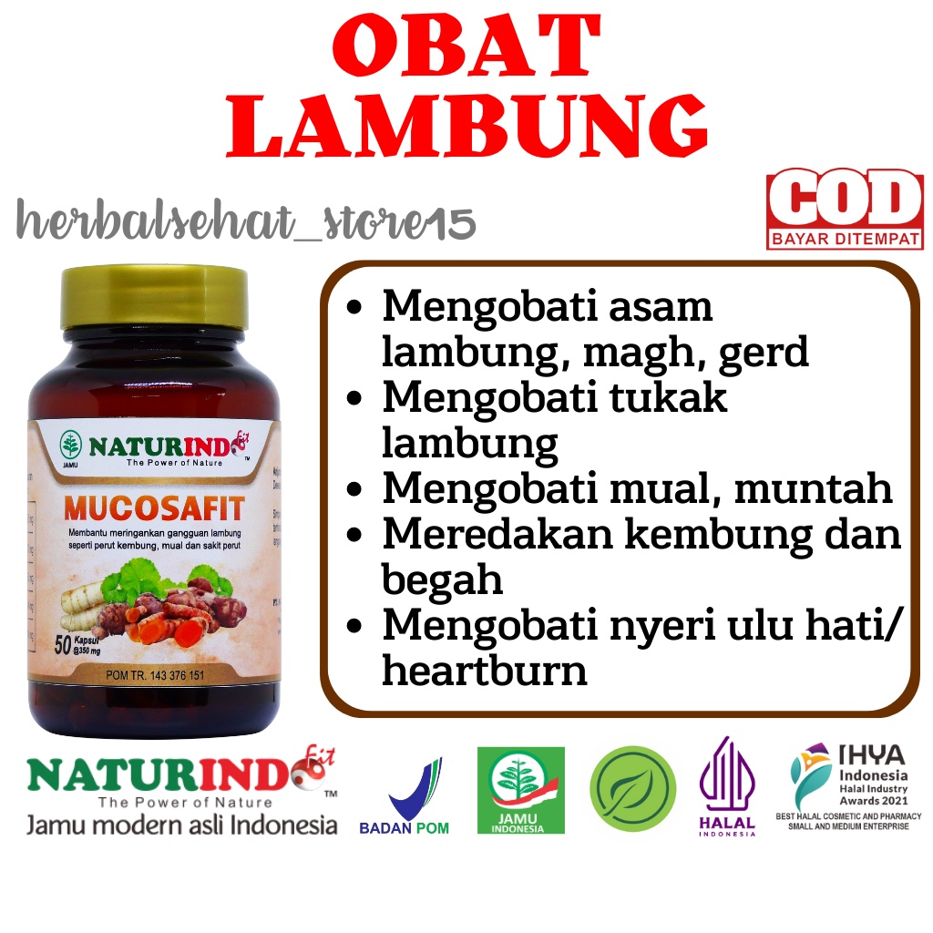 Jual Obat Maag Lambung Kronis G Mag Bau Mulut Herbal Asam Lambung Sakit