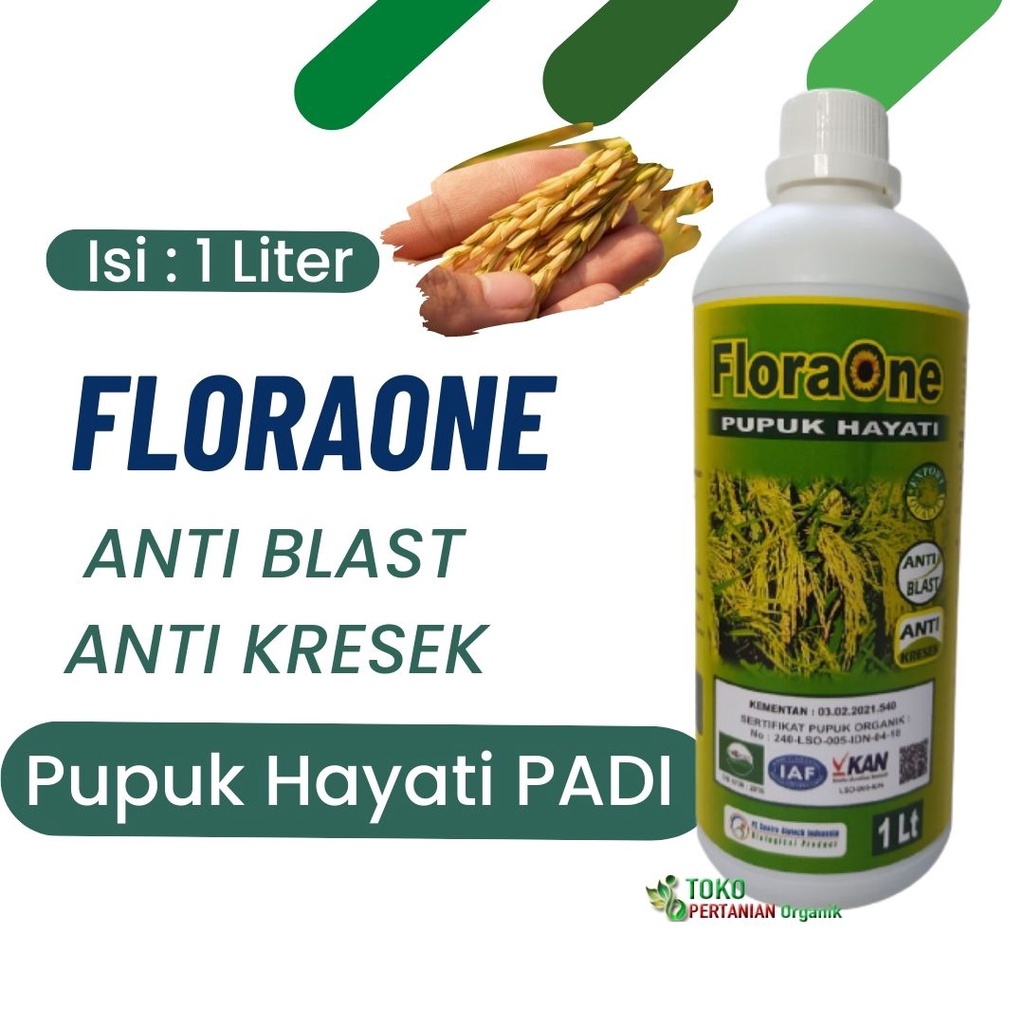 Jual Pupuk Hayati Tanaman Padi Ketan Cair Terbaik Fungisida FLORAONE