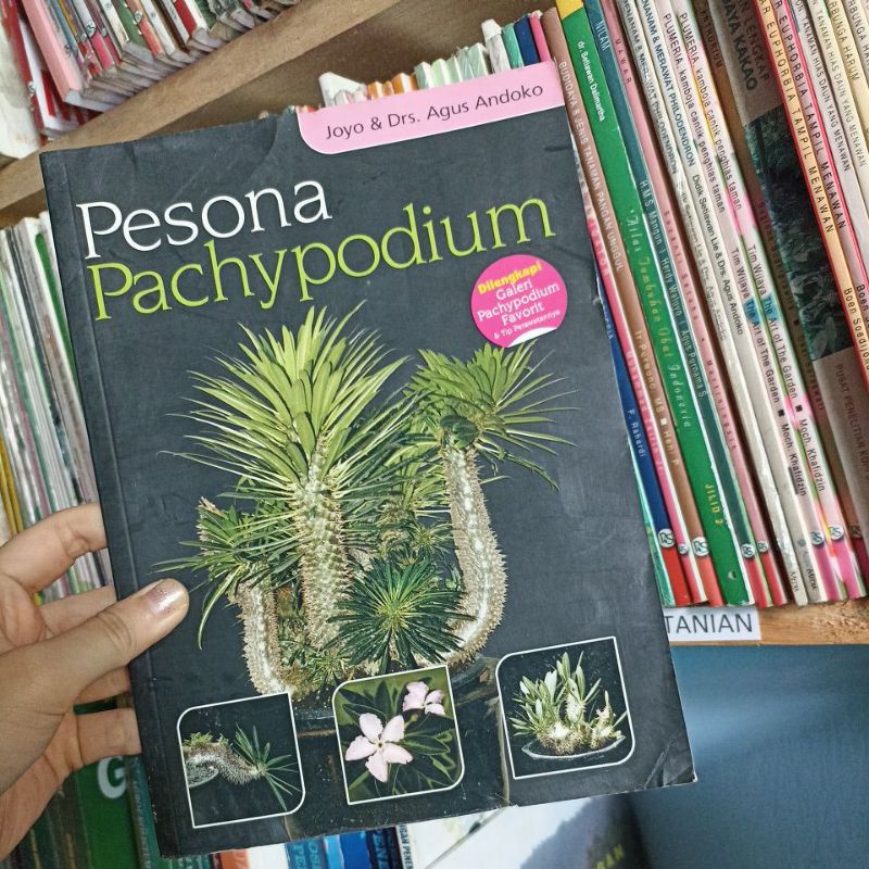 Jual Buku Pesona Pachypodium Joyo Agus Andoko Preloved Original