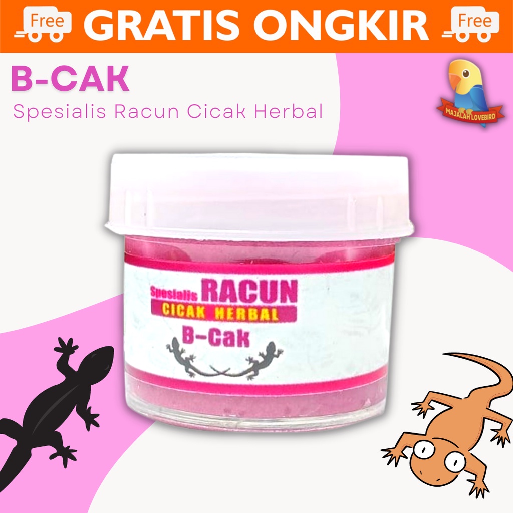 Jual B Cak Spesialis Racun Cicak Herbal Efek Cepat Dan Ampuh Racun