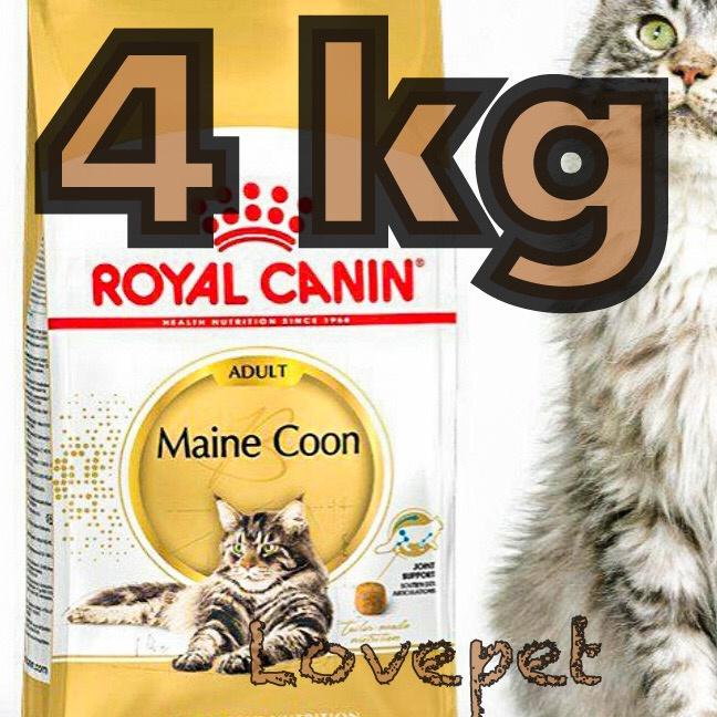 Jual Royal Canin Maine Coon Adult Kg Rc Mainecoon Kg Maincoon