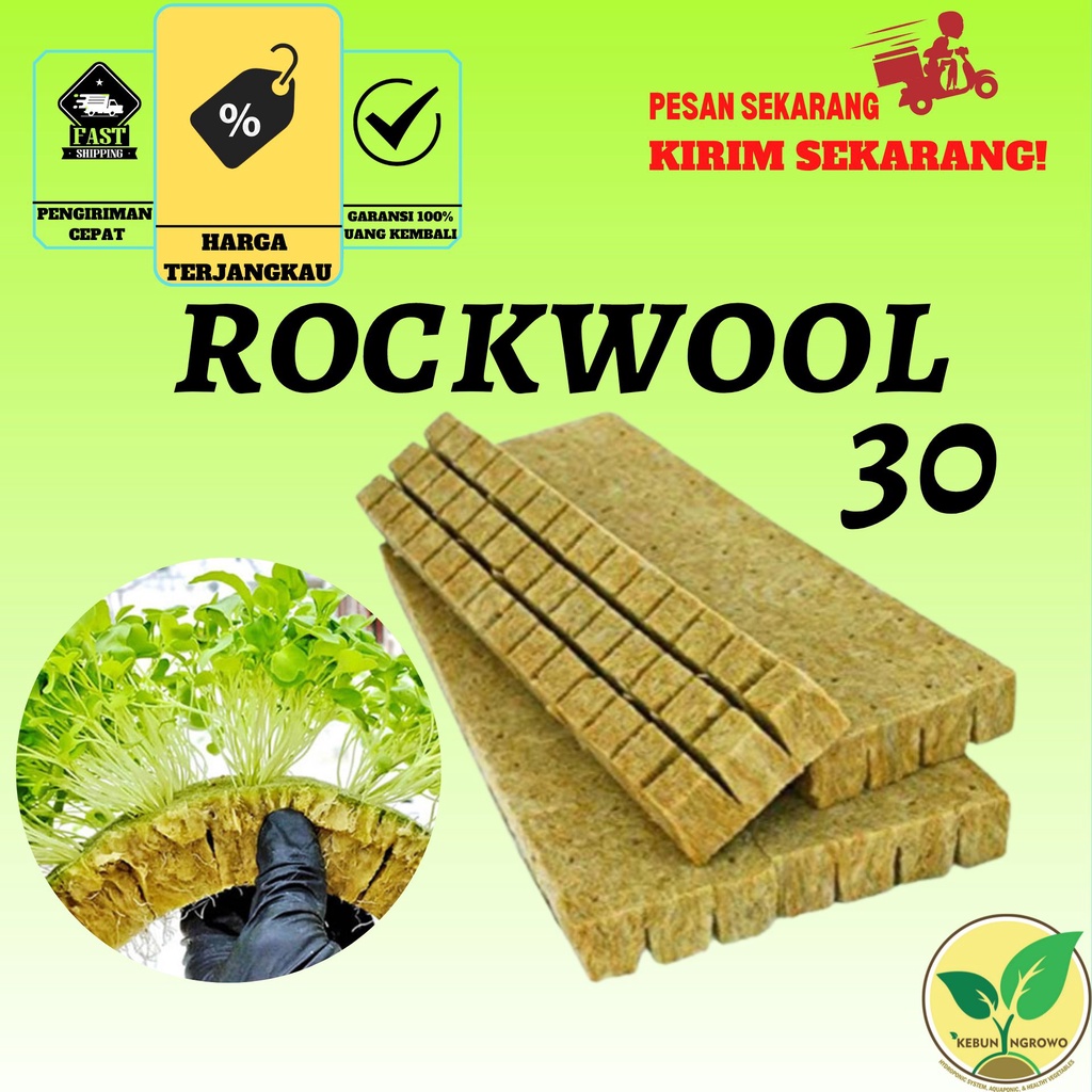 Jual Rockwool Media Tanam Hidroponik Siap Pakai Isi 30 Pcs Shopee