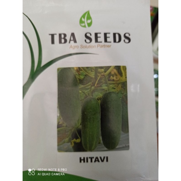 Jual Benih Timun Baby Timun Lalab Hitavi Tba Seeds Gr Shopee