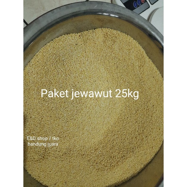 Jual 25KG BIJI KUNYIT BIJI JAWAK JEWAWUT SEKOI FOXTAIL MILLET