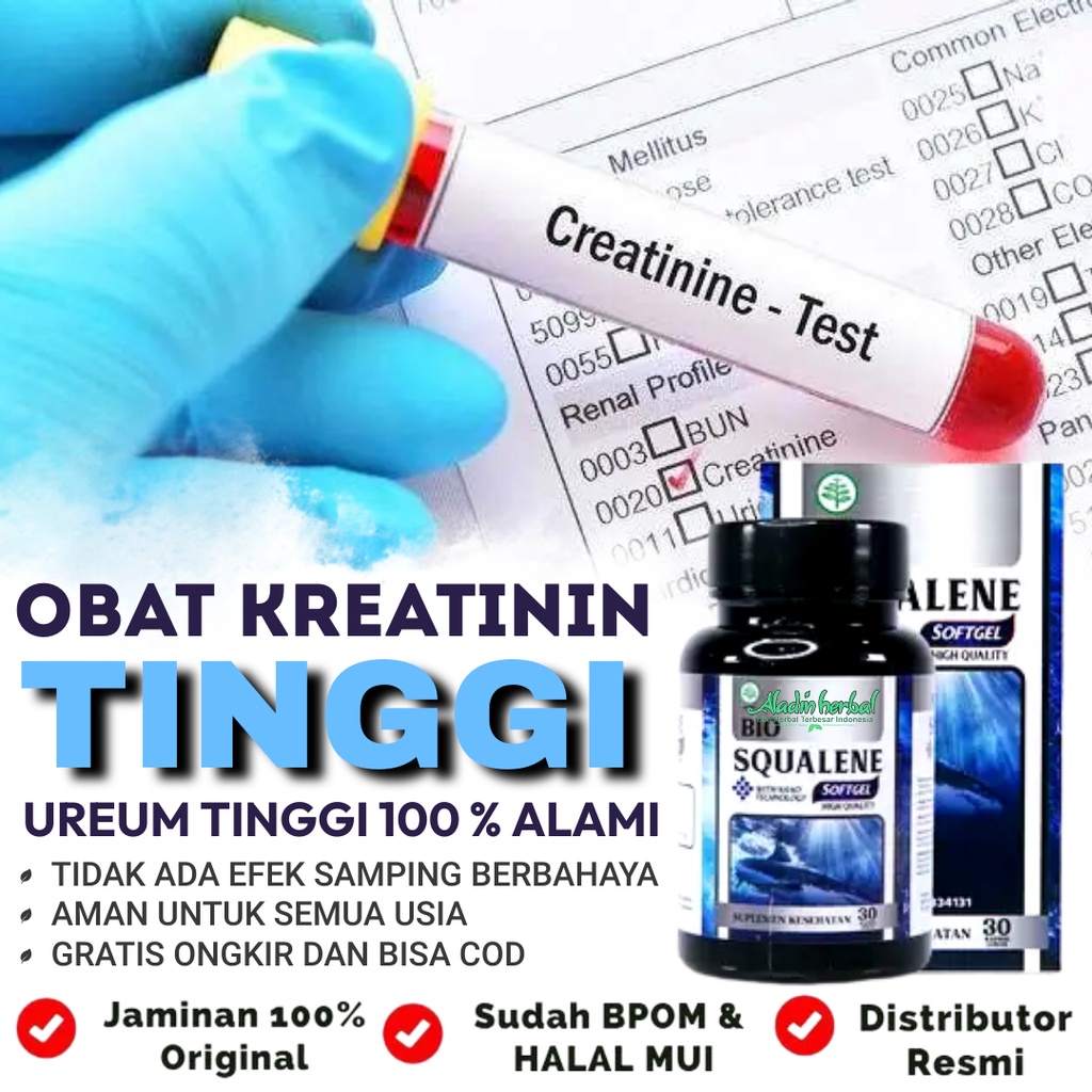 Jual Obat Penurun Kreatinin Dan Ureum Tinggi Obat Ginjal Untuk Sakit