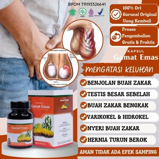 Jual Obat Biji Zakar Bengkak Testis Besar Sebelah Varikokel Hidrokel