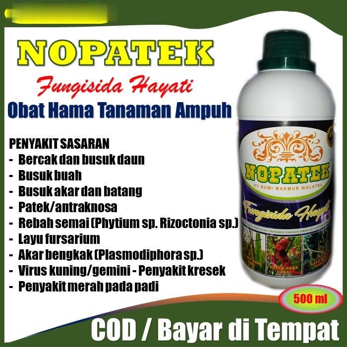 Jual NOPATEK Fungisida Hayati Obat Hama Patek Cabe Mengatasi Hama