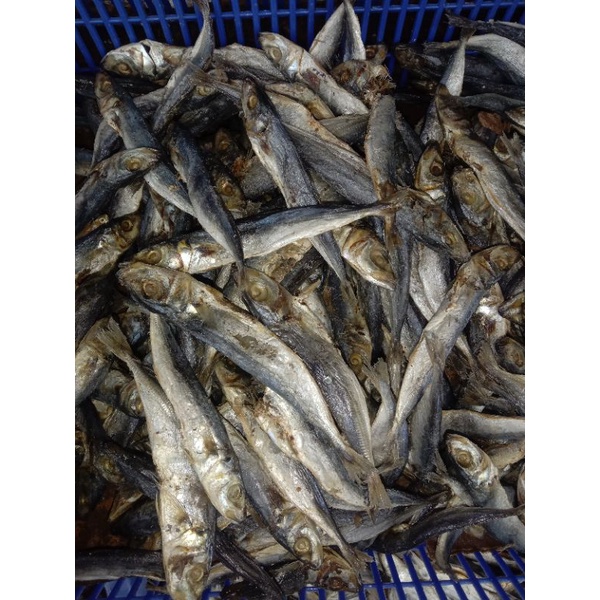 Jual Ikan Asin Layang Rebus Gram Shopee Indonesia