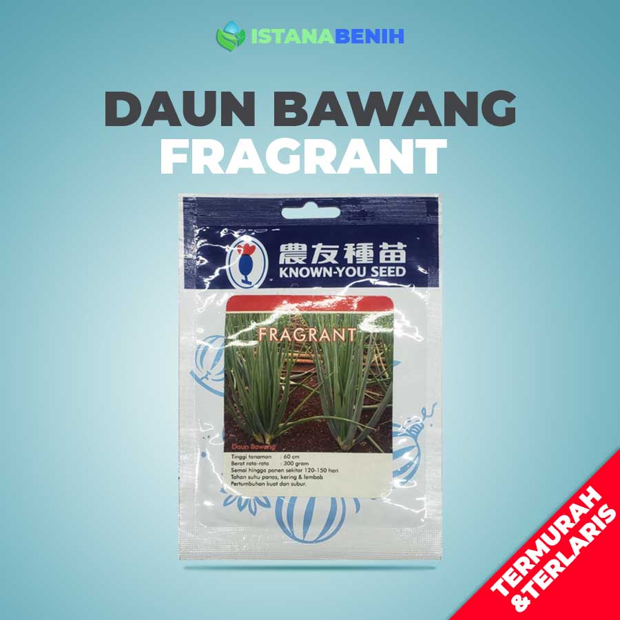 Jual Benih Daun Bawang Loncang Fragrant Isi Gr Cap Known You Seed