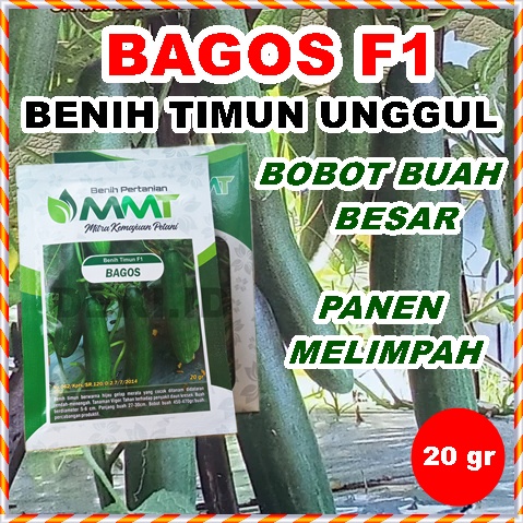 Jual Benih Timun F1 Bagos Lalap MMT Seed 20 Gram Bibit Mentimun Bagus