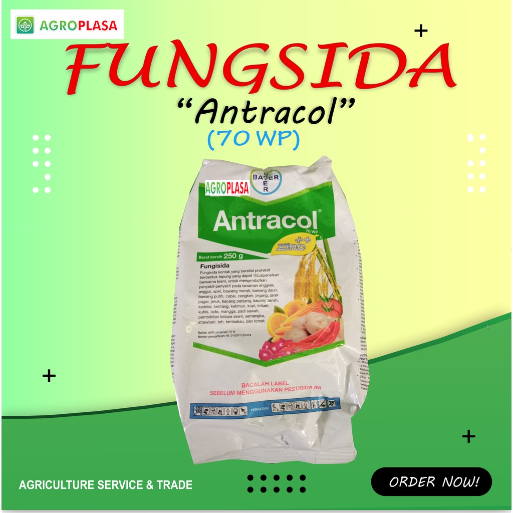 Jual Fungisida Antracol 70 Wp 250gr Shopee Indonesia