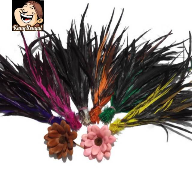 Bulu ayam  jago bulu ayam jantan bulu lancur 1 ikat isi 10