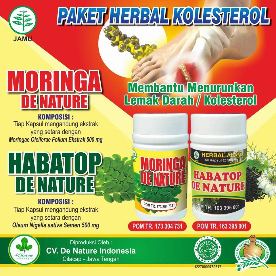 Obat Kolesterol Herbal De Nature Moringa Dan Habatop Membantu Menurunkan Kolesterol Darah Tinggi Shopee Indonesia