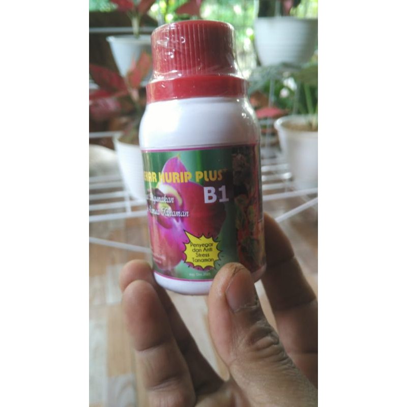 Perangsang Mekar hurip plus B1