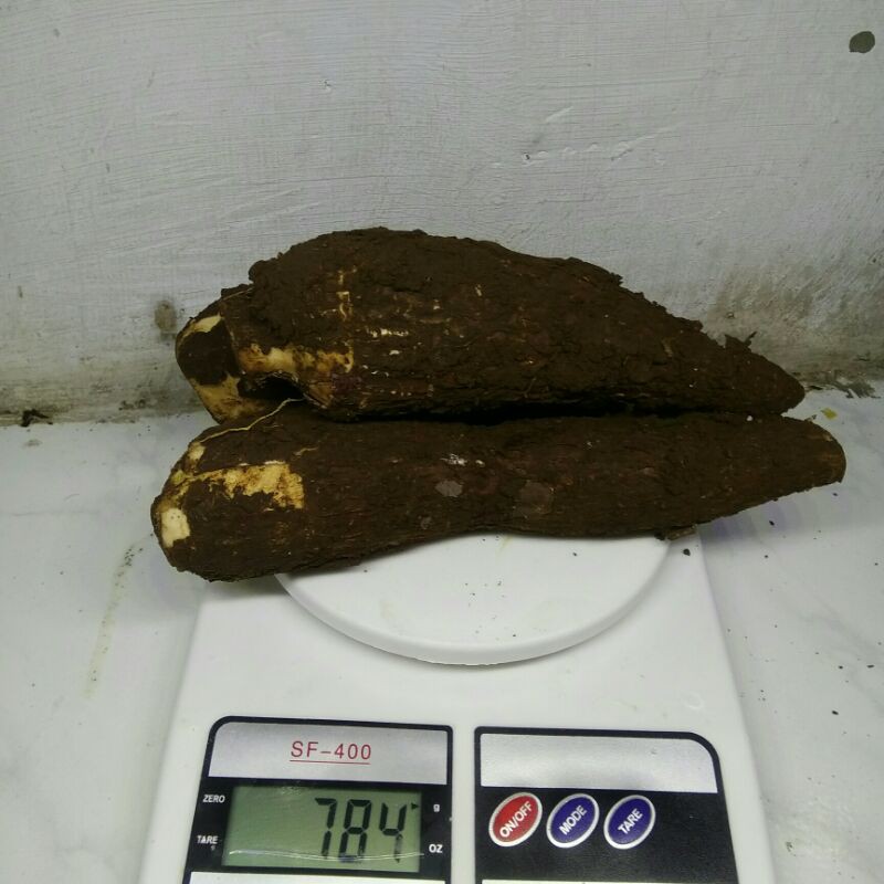 

singkong 1/2 kg