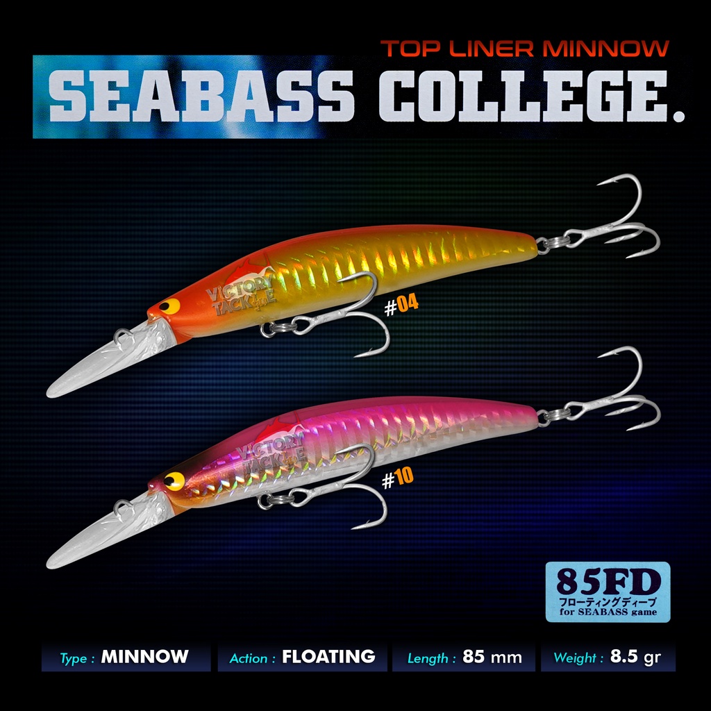 Umpan Pancing Lure TACKLE HOUSE TOPLINER MINNOW SEABASS COLLEGE 85 FD - 85 MM 8.5 GRAM MINNOW