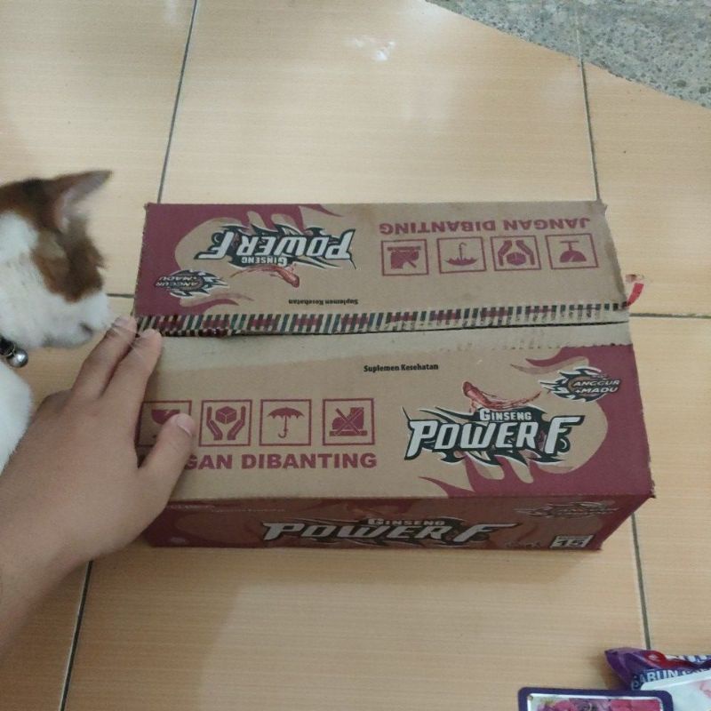 

POWER F ANGGUR + MADU