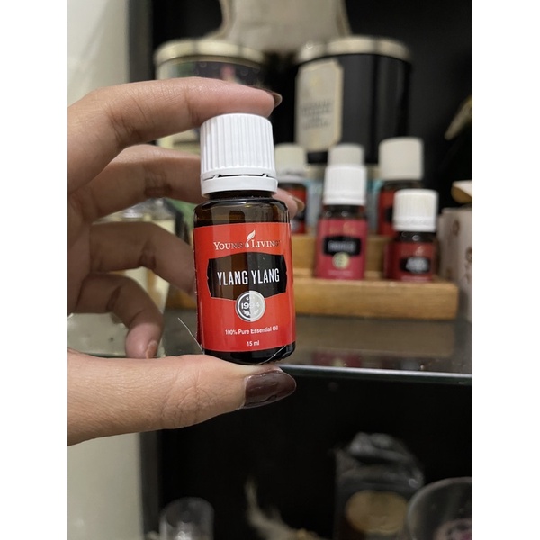 young living oil ylang ylang 15ml