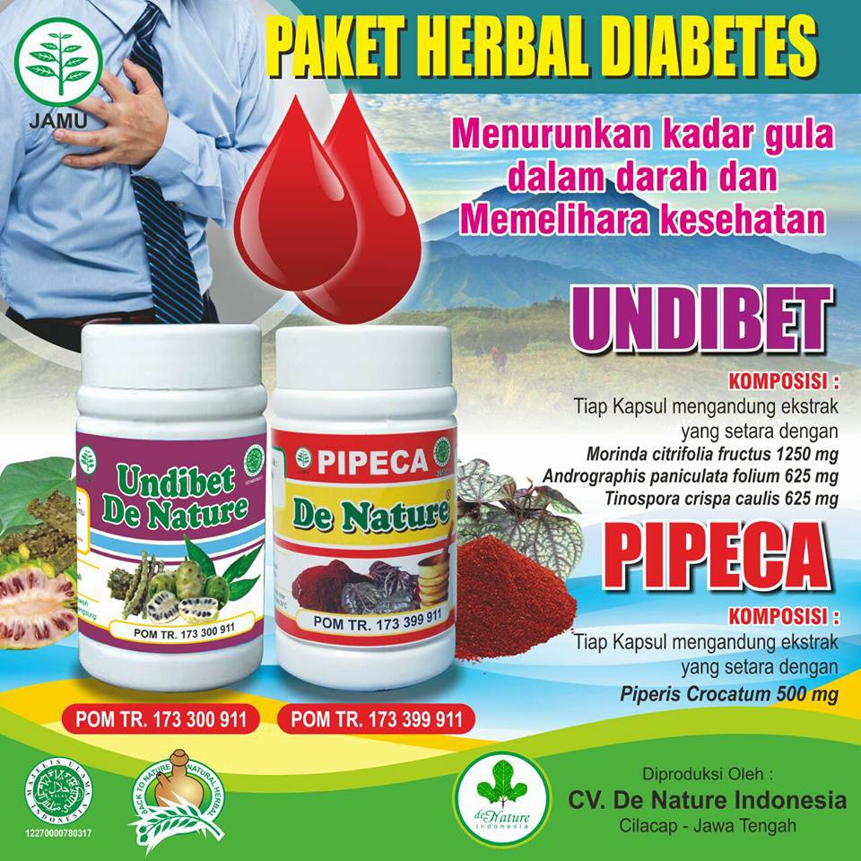 OBAT DIABETES SAKIT GULA  GULA  KENCING MANIS 100 HERBAL 