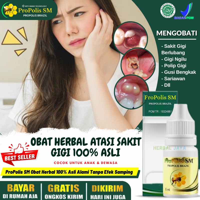 Obat Tetes Alami Pengempis Polip Gigi, Obat Polip Gigi Anak & Dewasa, Obat Sakit Gigi Akibat Polip B