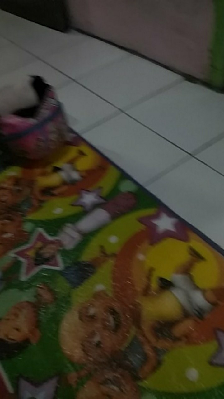 Standing Pouch One Klip 10 X 17,6 Cm / 12 X 20 Cm / Plastik Pp Food Grade Isi 50 Pcs