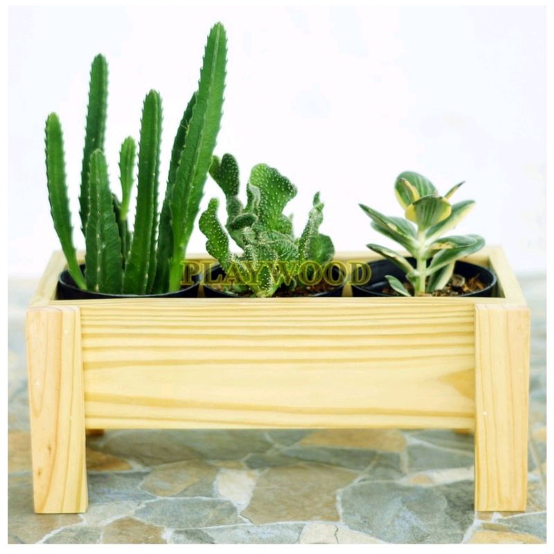 Rak pot bunga kaktus mini kayu/pot bunga kayu