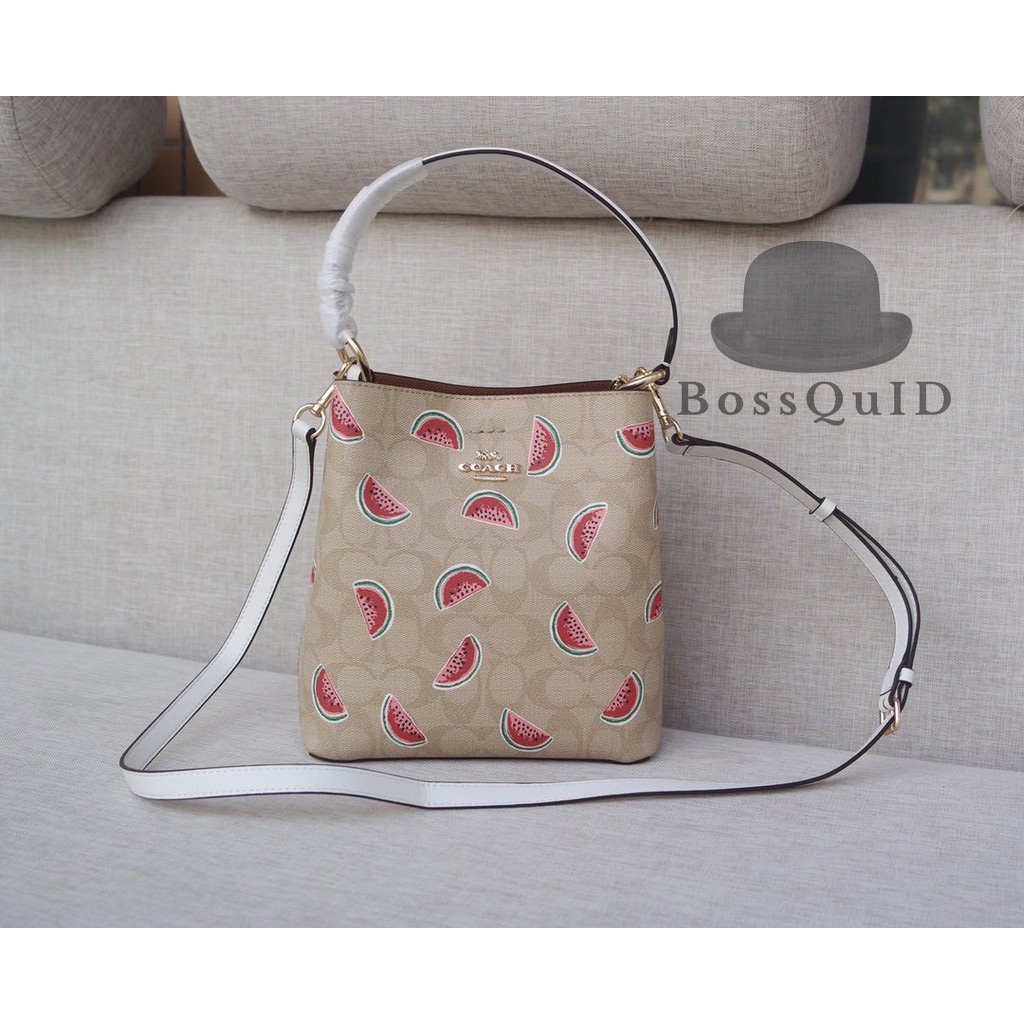 Coach Charlie Bucket 21 Bag Watermelon Print