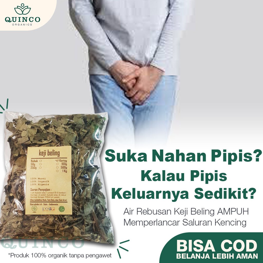 

Daun Keji Beling Kering Asli 100 gram Rempah Herbal Instan Jamu Organik Suplemen Kesehatan JSR R105