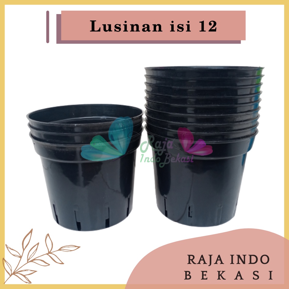 LUSINAN Pot Anggrek 20 Pot Bunga Anggrek Orchid Plastik 20 Cm - Pot Banyak Lubang